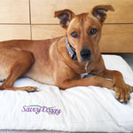 savvy doggy small white shredded latex dog bed
