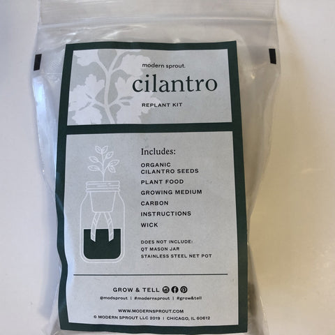 modern sprout replant kit, cilantro