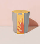 modern sprout bamboo grow kit, aloe