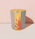 modern sprout bamboo grow kit, aloe