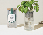modern sprout eco planter herb kit, basil is great for indoor gardening. Certified Organic Seeds included