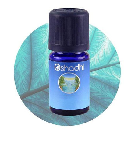 oshadhi litsea wildcrafted 10ml