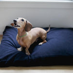 savvy doggy small black solid latex dog bed