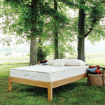 savvy rest natural latex mattress queen size store model